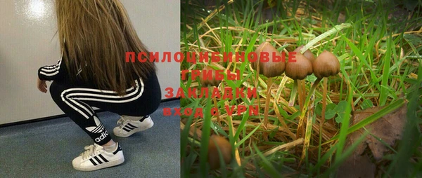 мдпв Новодвинск