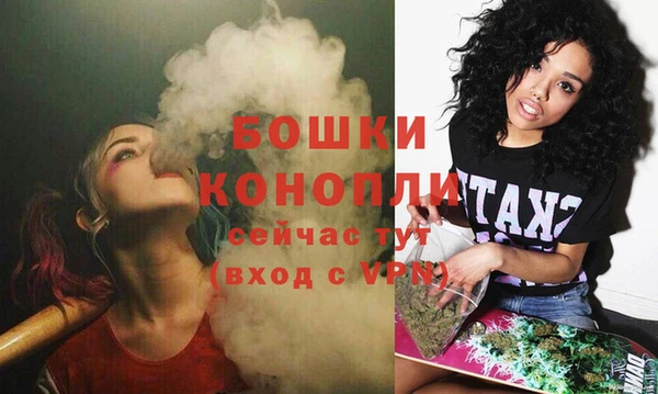 мдпв Новодвинск